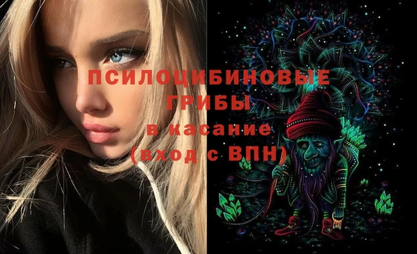 ALPHA PVP Алексин