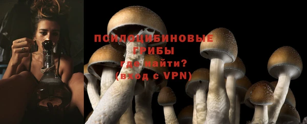 соль ск Алзамай