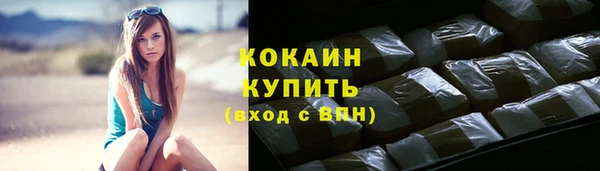 соль ск Алзамай