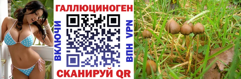 Псилоцибиновые грибы ЛСД  Петрозаводск 