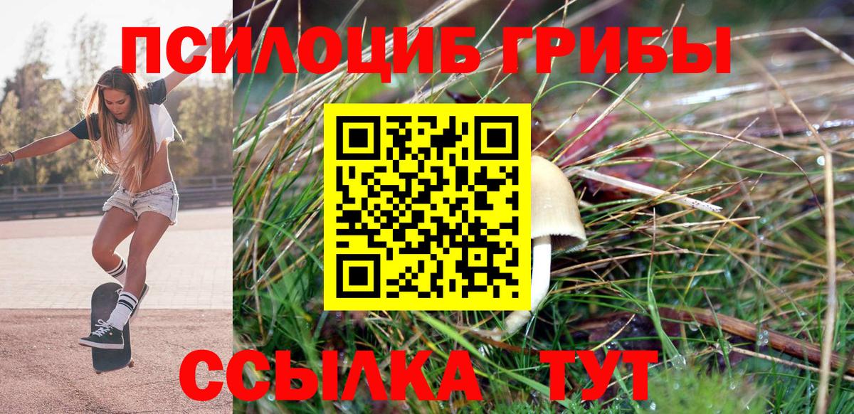 Псилоцибиновые грибы MAGIC MUSHROOMS  Вход с VPN  Петрозаводск 