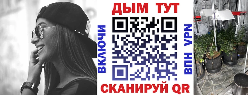 где купить наркоту  Петрозаводск  Бошки марихуана OG Kush 